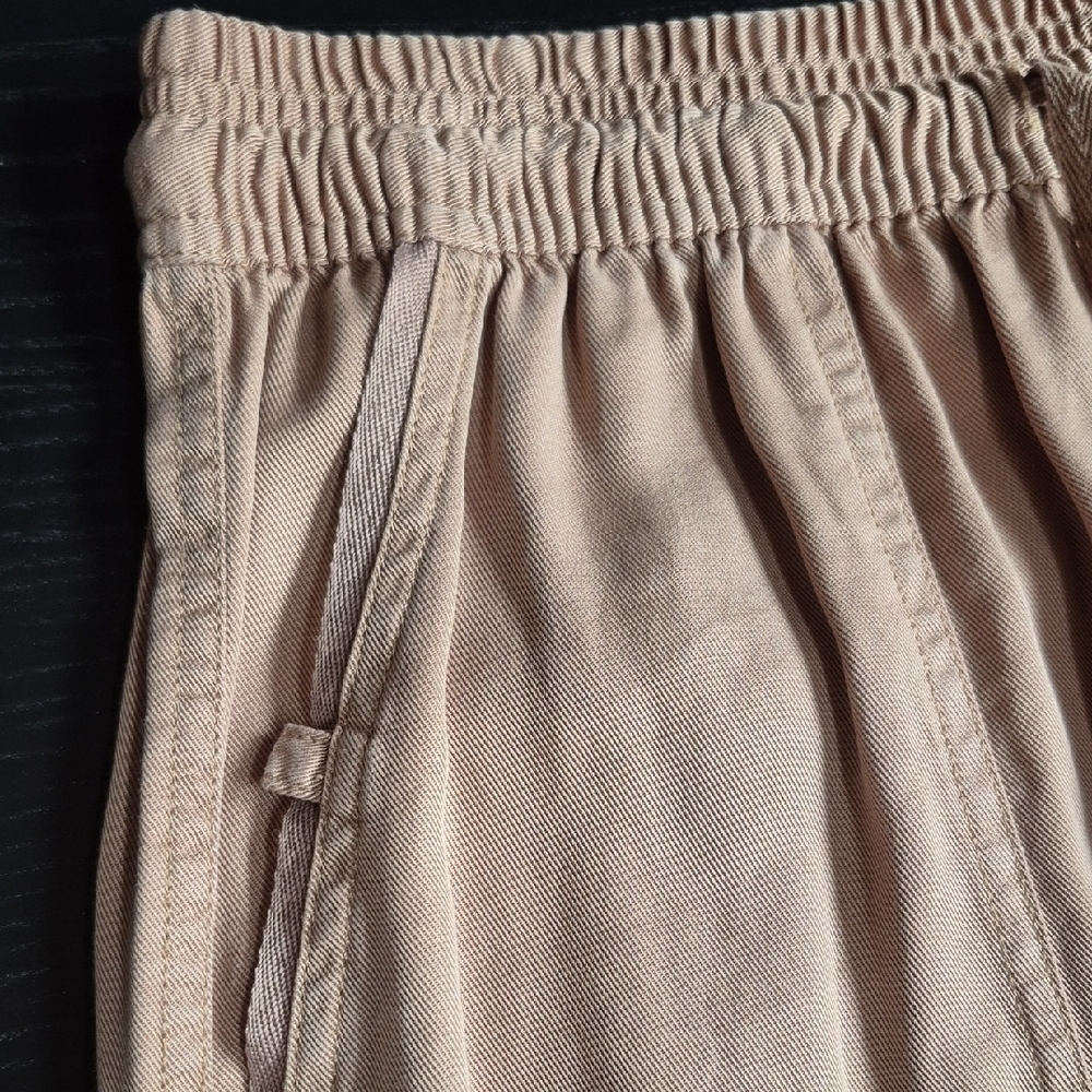 Thread & Supply Tan Pants - Picture 7 of 11